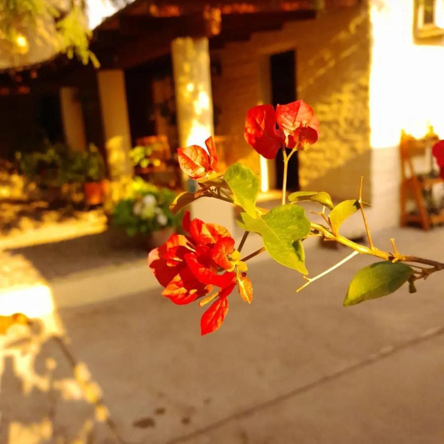 La Montana Bed & Breakfast Кафаяте Екстериор снимка